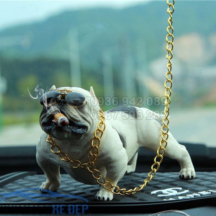 Chó để taplo ô tô Bulldog